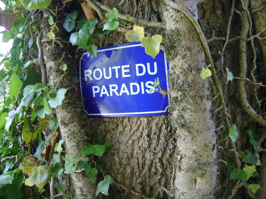 Gite Les Mineurs Zottegem ภายนอก รูปภาพ