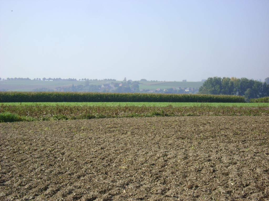 Gite Les Mineurs Zottegem ภายนอก รูปภาพ