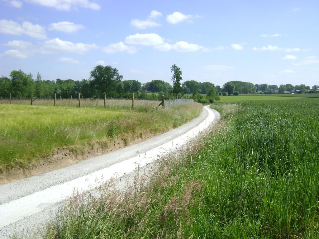 Gite Les Mineurs Zottegem ภายนอก รูปภาพ